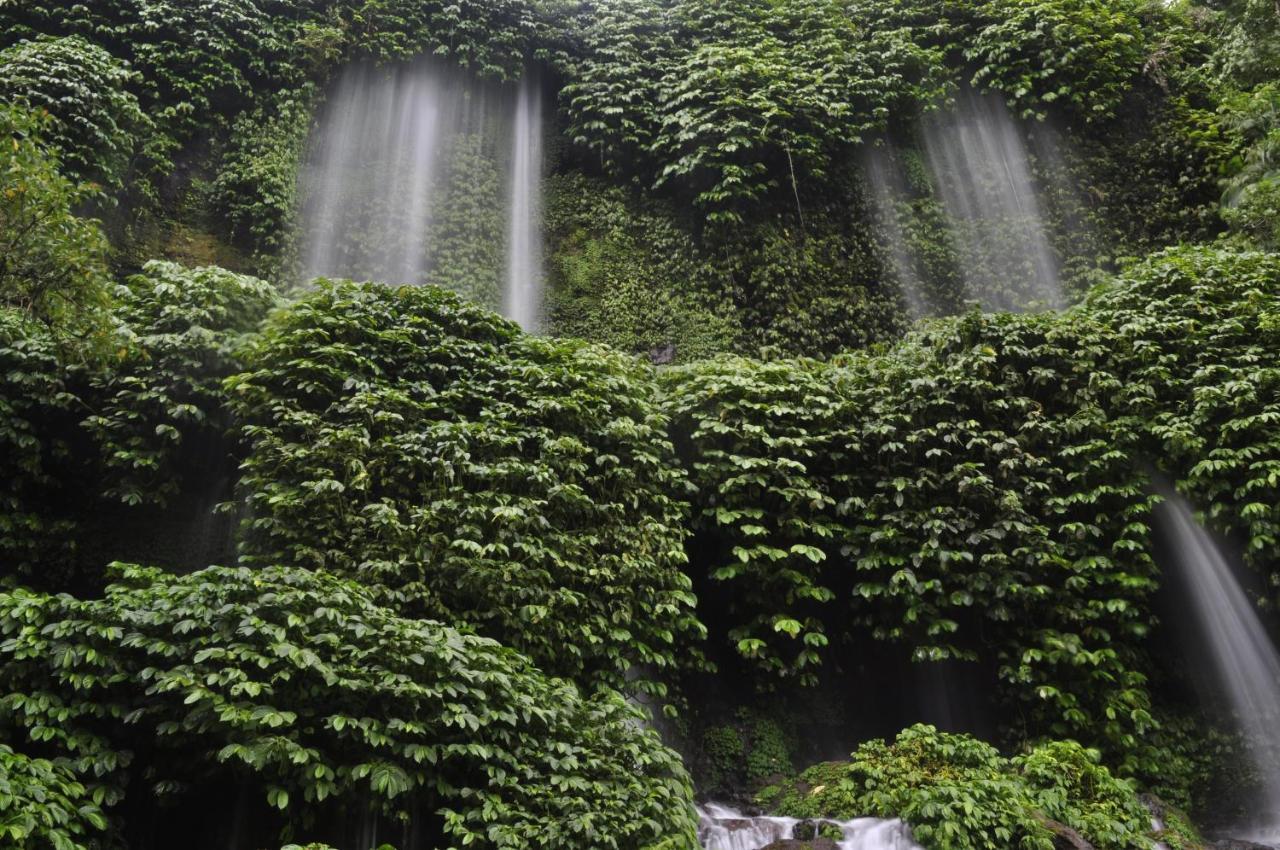 Mu Homestay Tetebatu Bagian luar foto