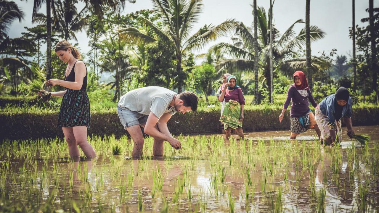 Mu Homestay Tetebatu Bagian luar foto