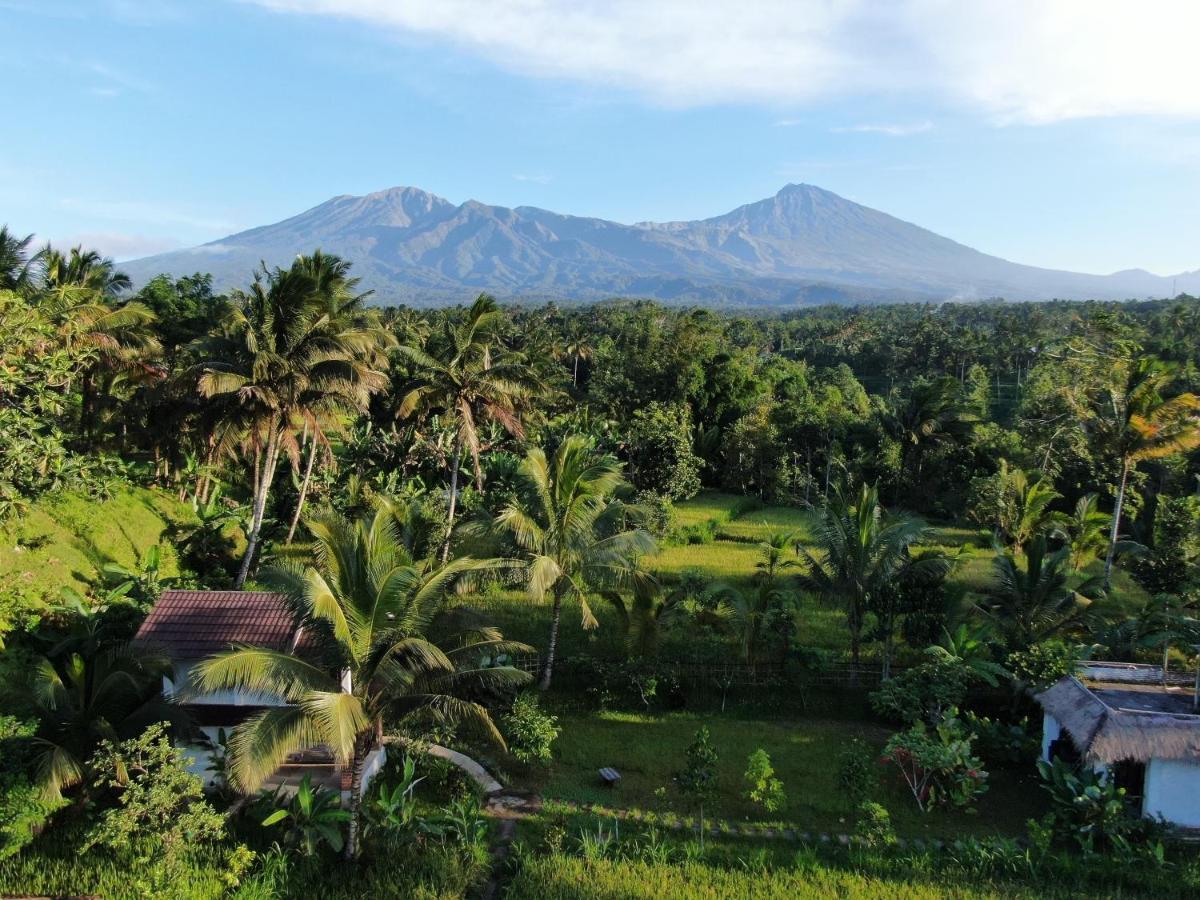 Mu Homestay Tetebatu Bagian luar foto