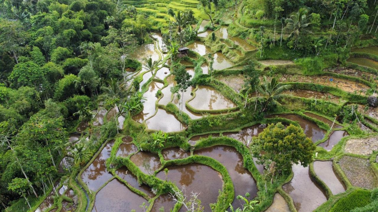 Mu Homestay Tetebatu Bagian luar foto