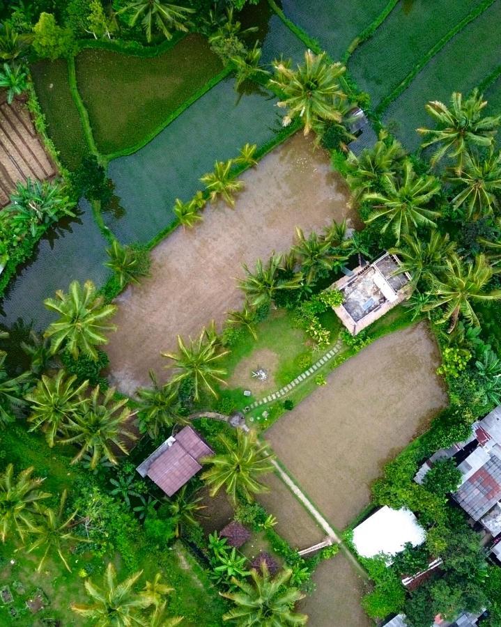 Mu Homestay Tetebatu Bagian luar foto