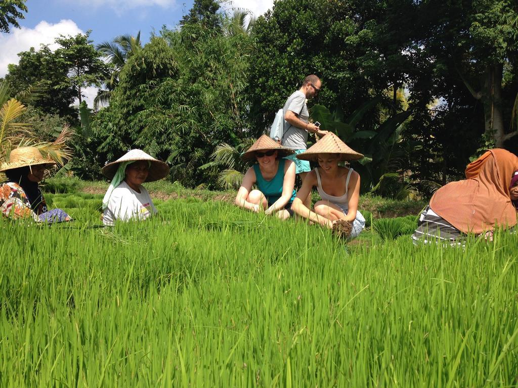 Mu Homestay Tetebatu Bagian luar foto