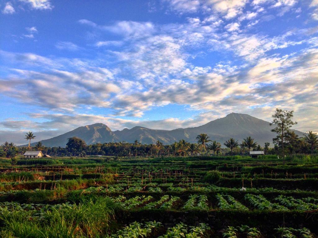 Mu Homestay Tetebatu Bagian luar foto